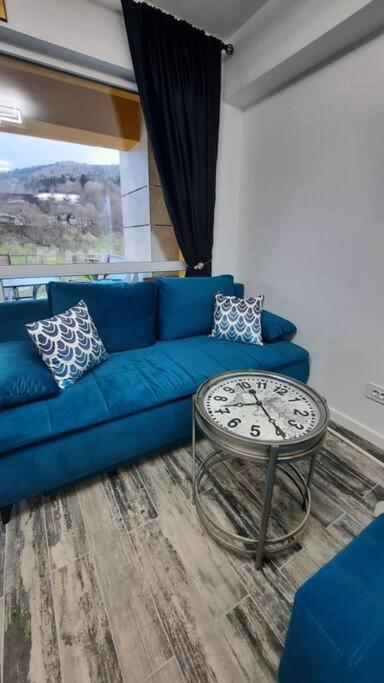 Apartament Erika Premium シナヤ エクステリア 写真
