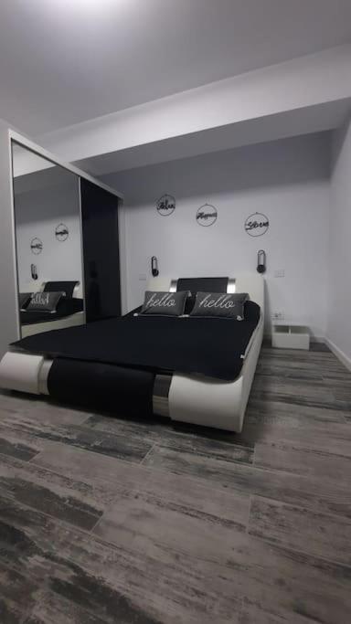 Apartament Erika Premium シナヤ エクステリア 写真
