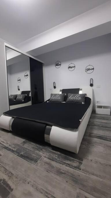 Apartament Erika Premium シナヤ エクステリア 写真
