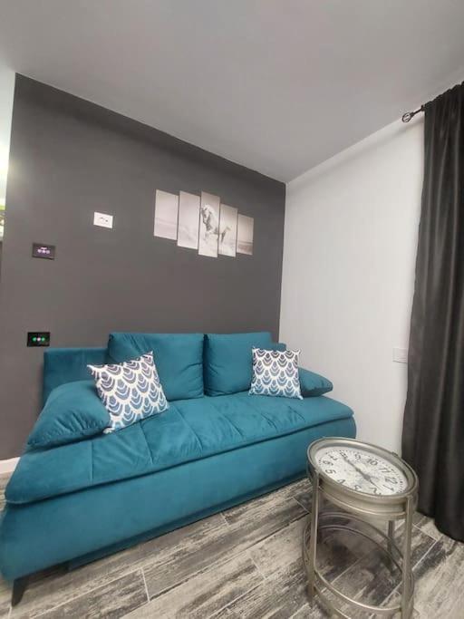 Apartament Erika Premium シナヤ エクステリア 写真